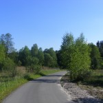 Cieślin - Ulica Stawowa kierująca-się w stronę Golczowic