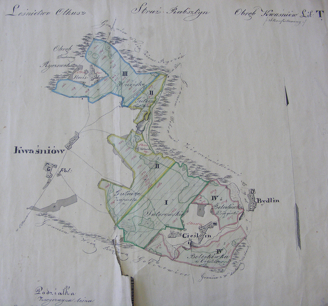 Mapa przeglądowa skonfiskowanego obrębu leśnego Kwaśniów (1860)
